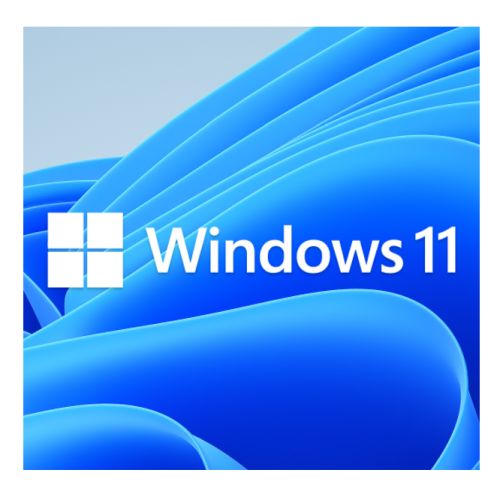 Microsoft Windows 11 Home 64-bit, OEM DVD, Single Copy